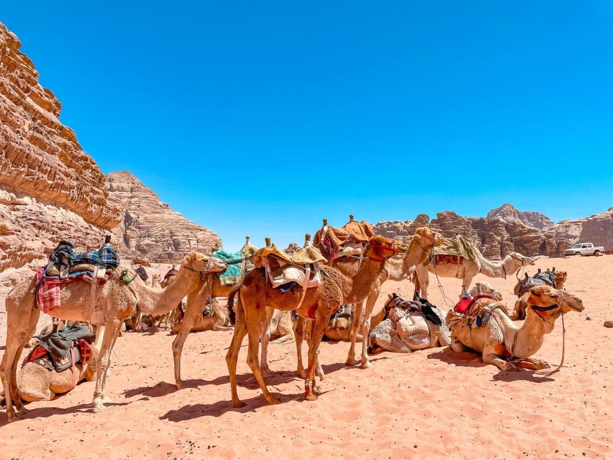 Rum Jordan camp Hotel Wadi Rum Exterior foto