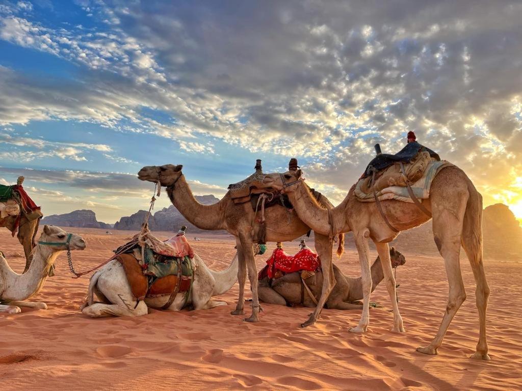 Rum Jordan camp Wadi Rum Exterior foto